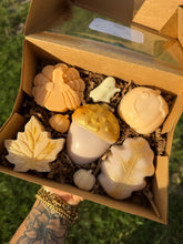 Load image into Gallery viewer, FALL soap boxes