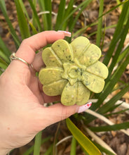 Load image into Gallery viewer, Soap In a cup 🧼