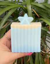 Load image into Gallery viewer, Natural Soap Bars