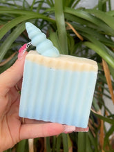 Load image into Gallery viewer, Natural Soap Bars
