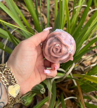 Load image into Gallery viewer, Soap In a cup 🧼