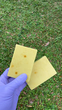 Load image into Gallery viewer, Turmeric Shea Face Bar