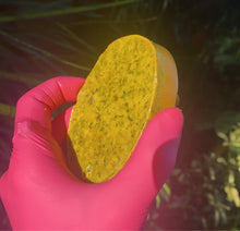 Load image into Gallery viewer, Turmeric Moringa Massage Bar