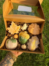 Load image into Gallery viewer, FALL soap boxes
