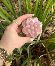 Load image into Gallery viewer, Soap In a cup 🧼
